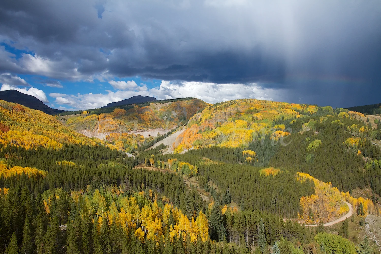 FALL SHOWERS 2014 (2)