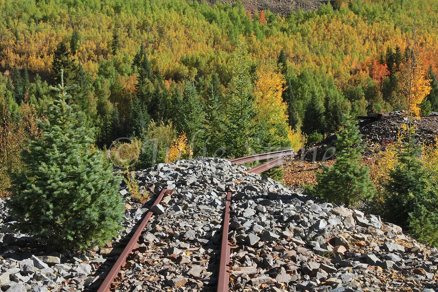 SILVERTON ABANDONED RAILROAD TRACK 2014