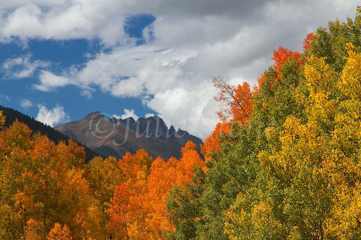 SILVERTON FALL COLORS 2014 (5)