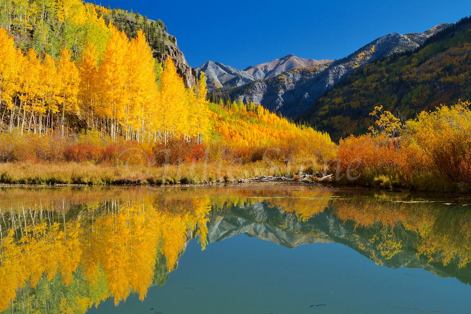 CRYSTAL LAKE FALL 2014 (6)