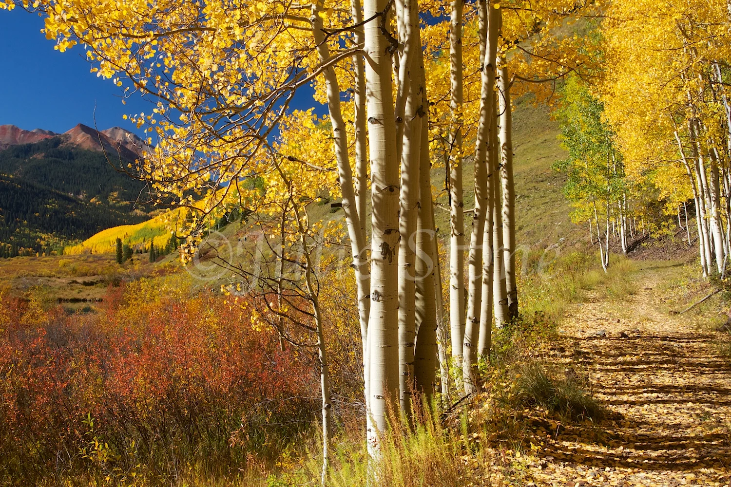CRYSTAL LAKE FALL 2014 (8)