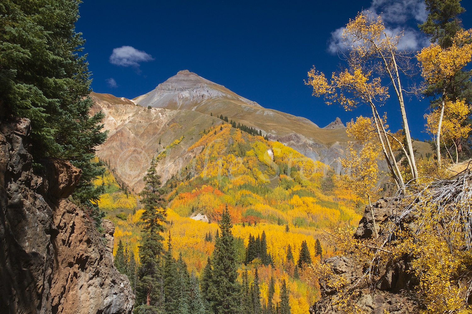 RED MOUNTAIN PASS FALL 2014 (7)