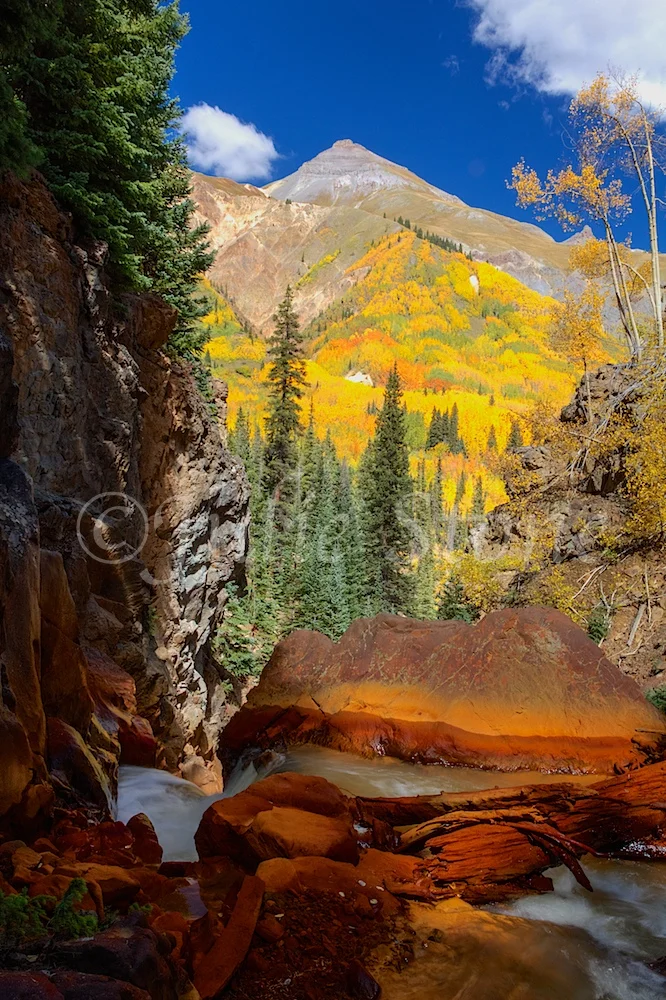 RED MOUNTAIN PASS FALL COLORS 2014 (8)