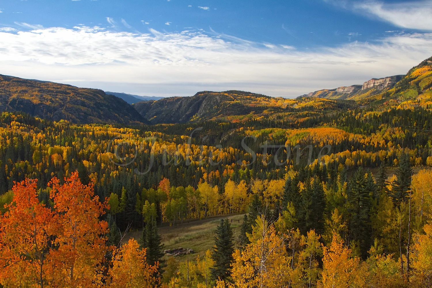 MORNING FALL COLORS 2014 (3)