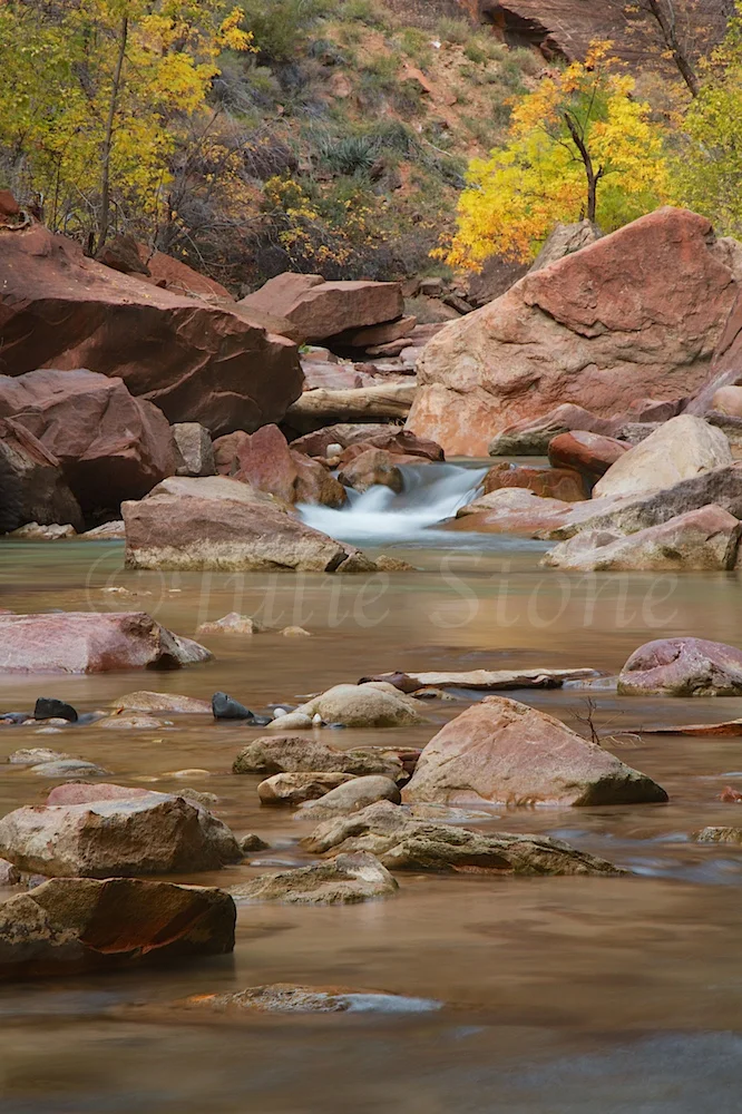 North Fork of the Virgin River Fall 2014 (3)