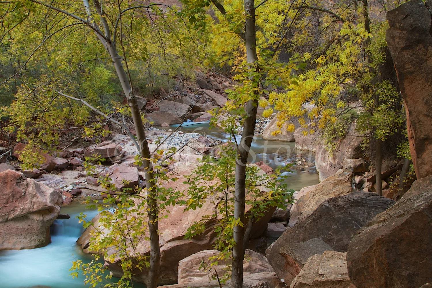 North Fork of the Virgin River Fall 2014 (5)