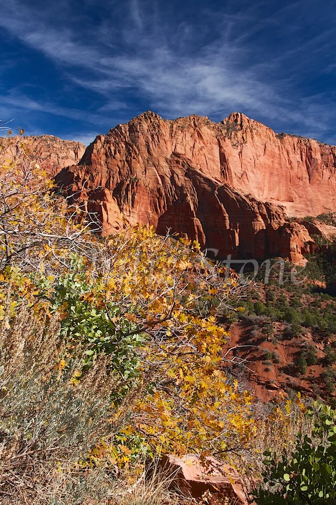 Kolob Canyons 2014 (5)