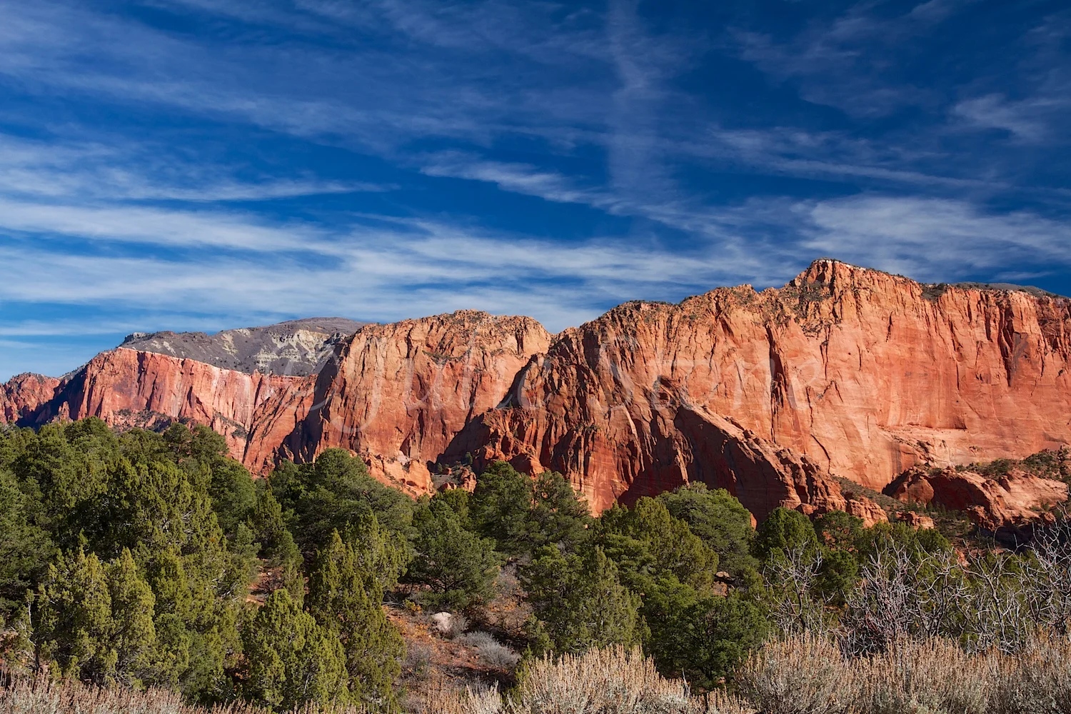 Kolob Canyons Fall 2014 (3)