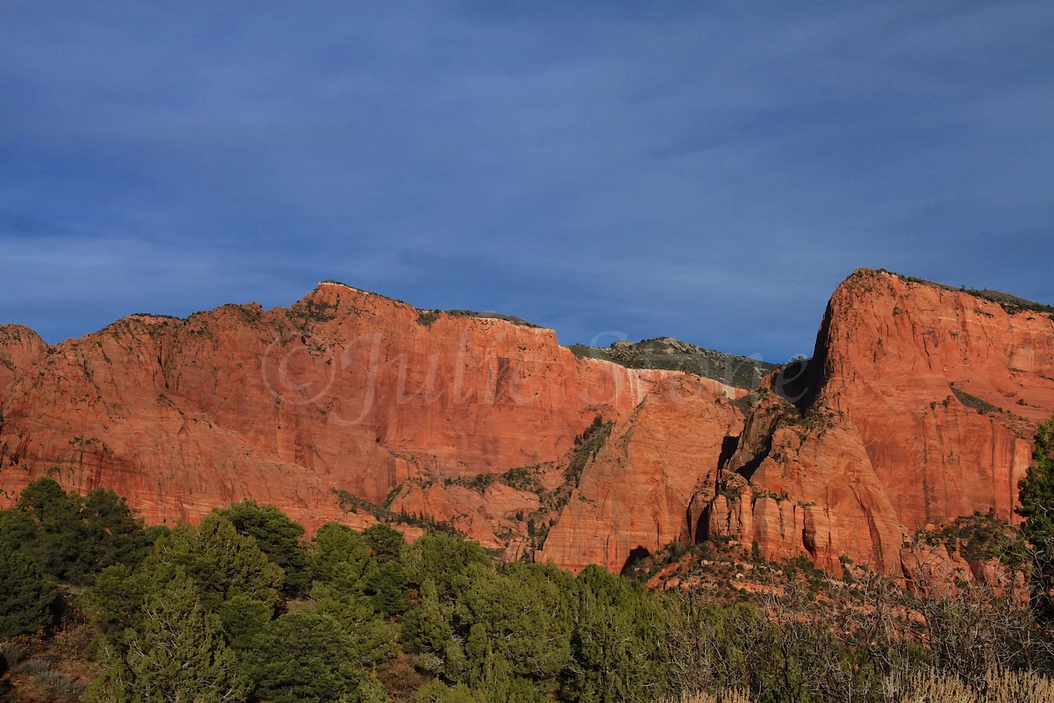 Kolob Canyons Fall 2014 (4)