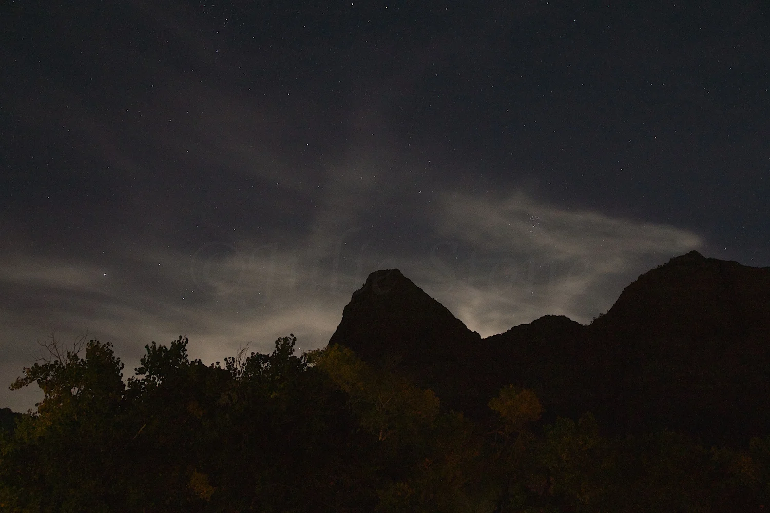 Zion Starry Night 2014