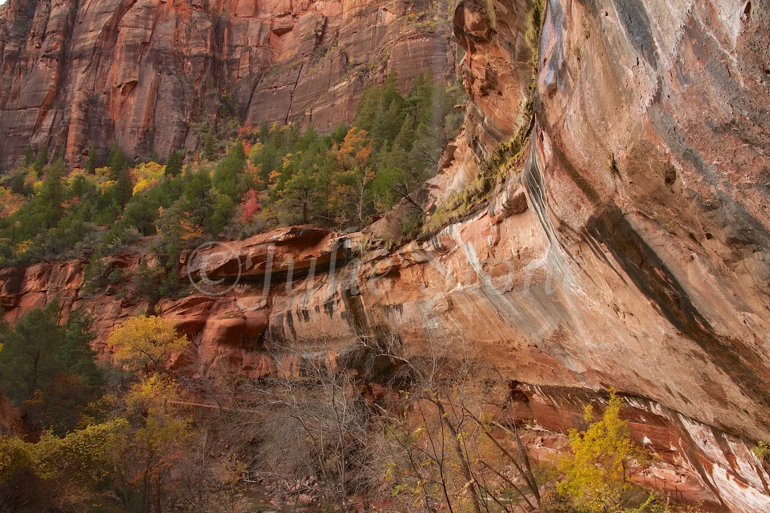Alcove above Lower Emerald Pools Fall 2014