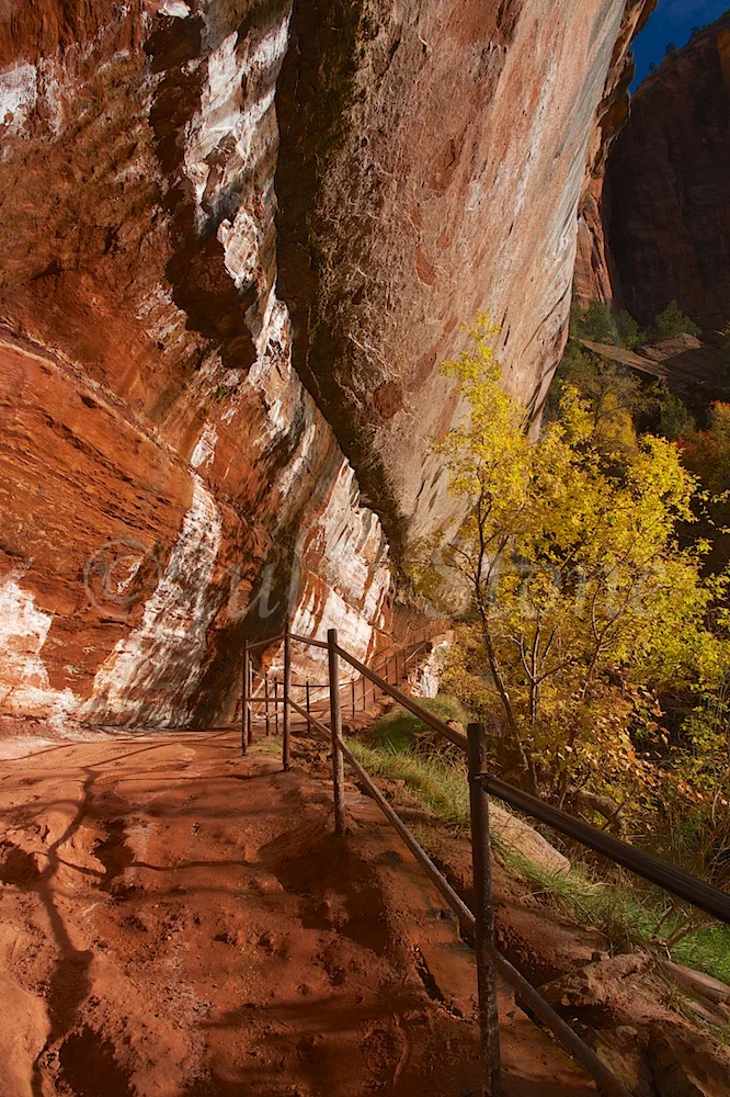 Trail to Emerald Pools Fall 2014