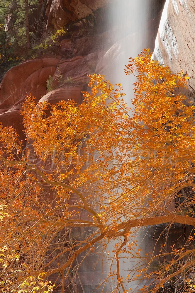 Waterfall at Lower Emerald Pools Fall 2014 (9)