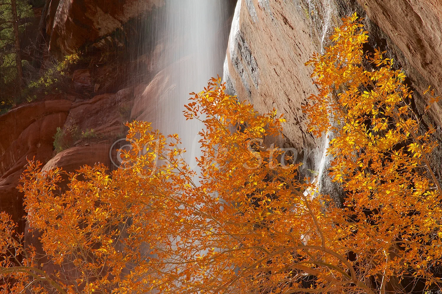 Waterfall at Lower Emerald Pools Fall 2014 (3)