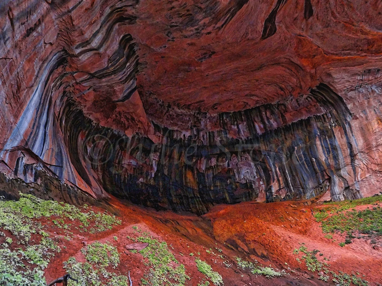 Double Alcove Arch Taylor Creek Trail Fall 2014 (3)