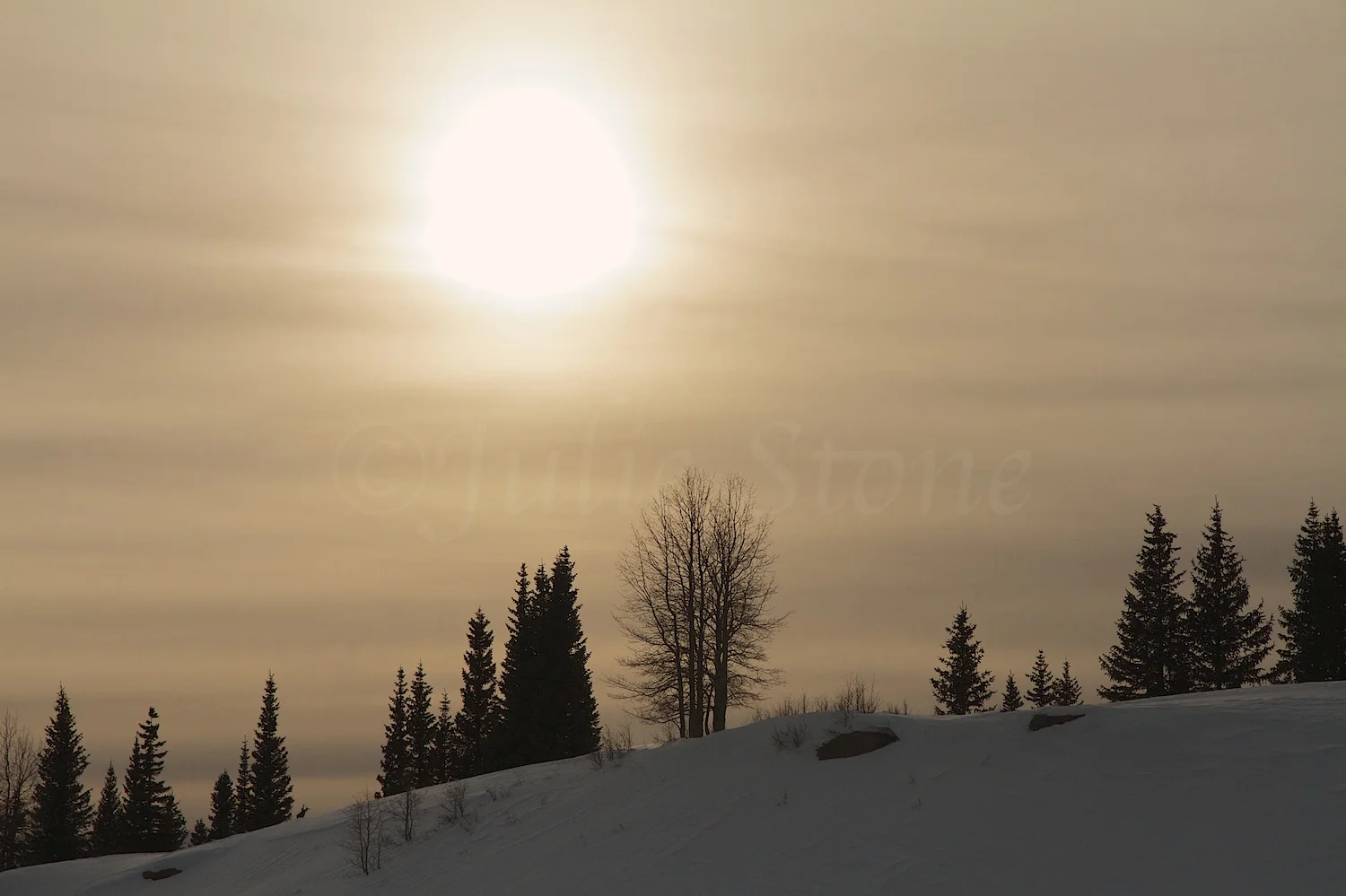 Molas Winter Sky (Image 2514) December 24, 2014