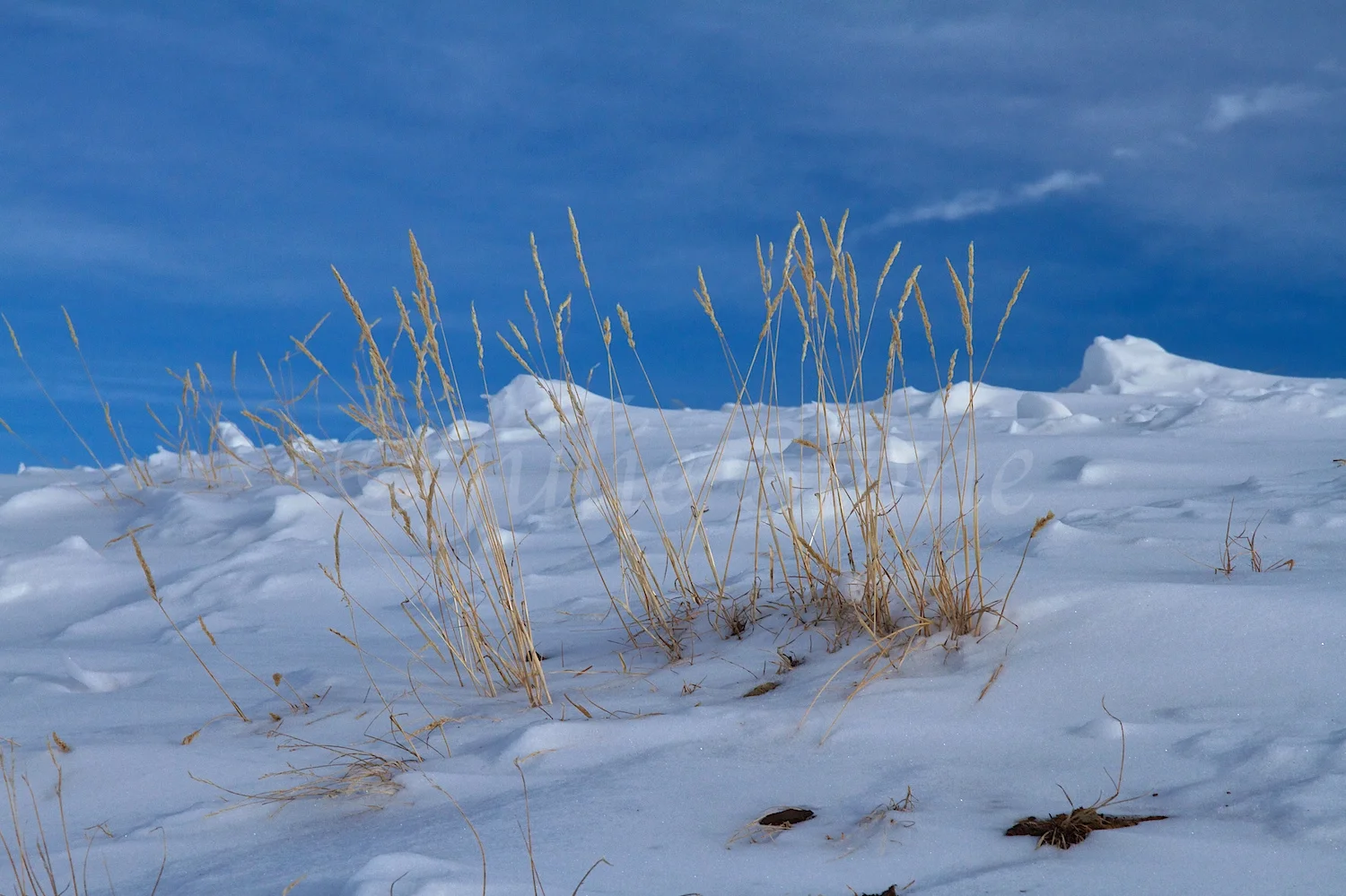 Molas Pass (Image 2475) December 24, 2014