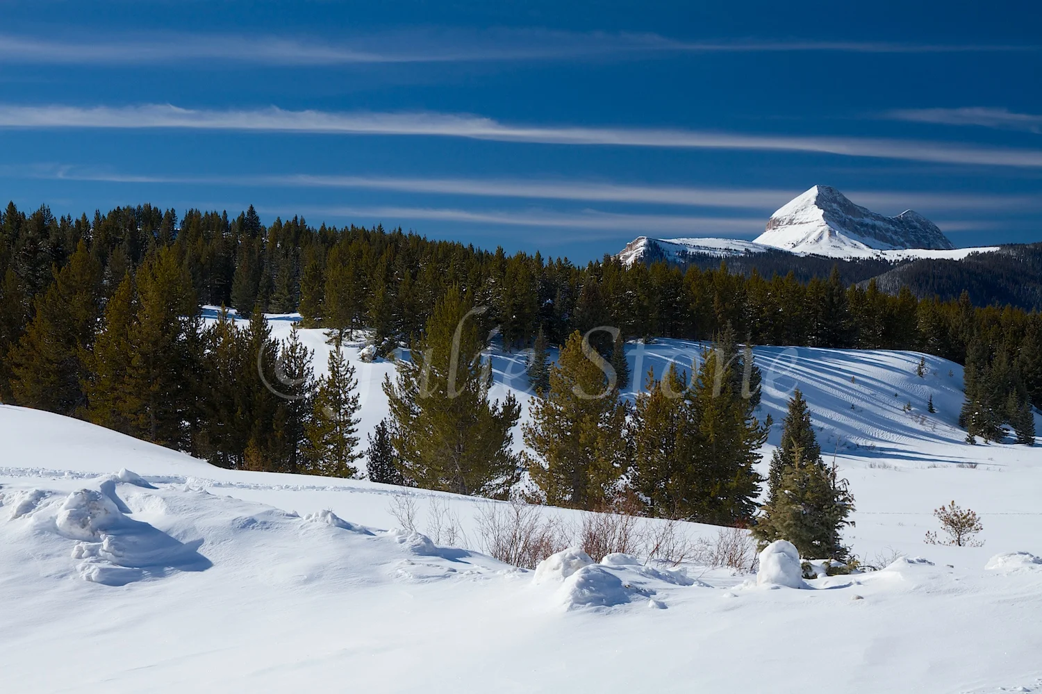 Engineer Mt (Image 2242) December 24, 2014