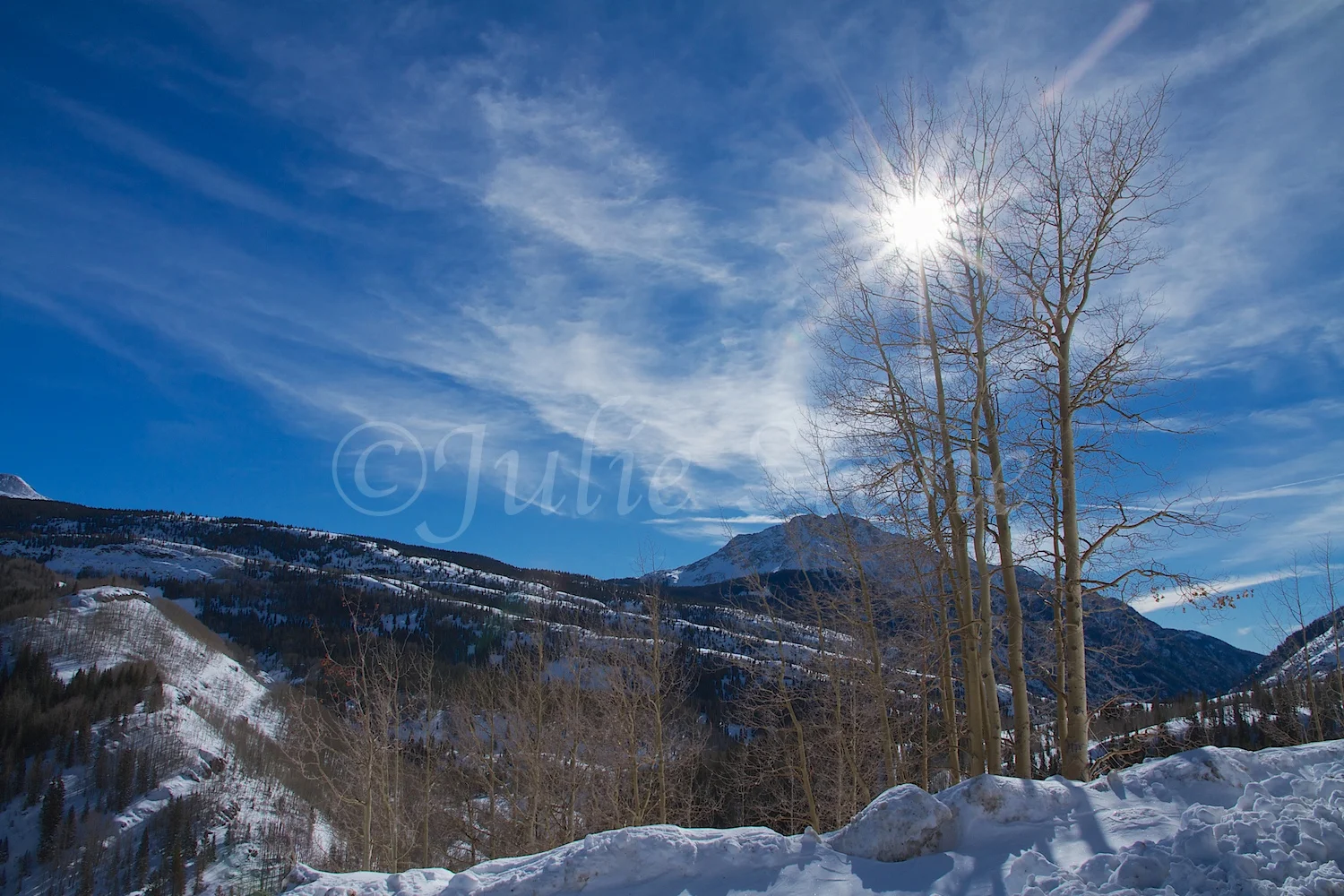 Lime Creek (Image 2171) December 24, 2014