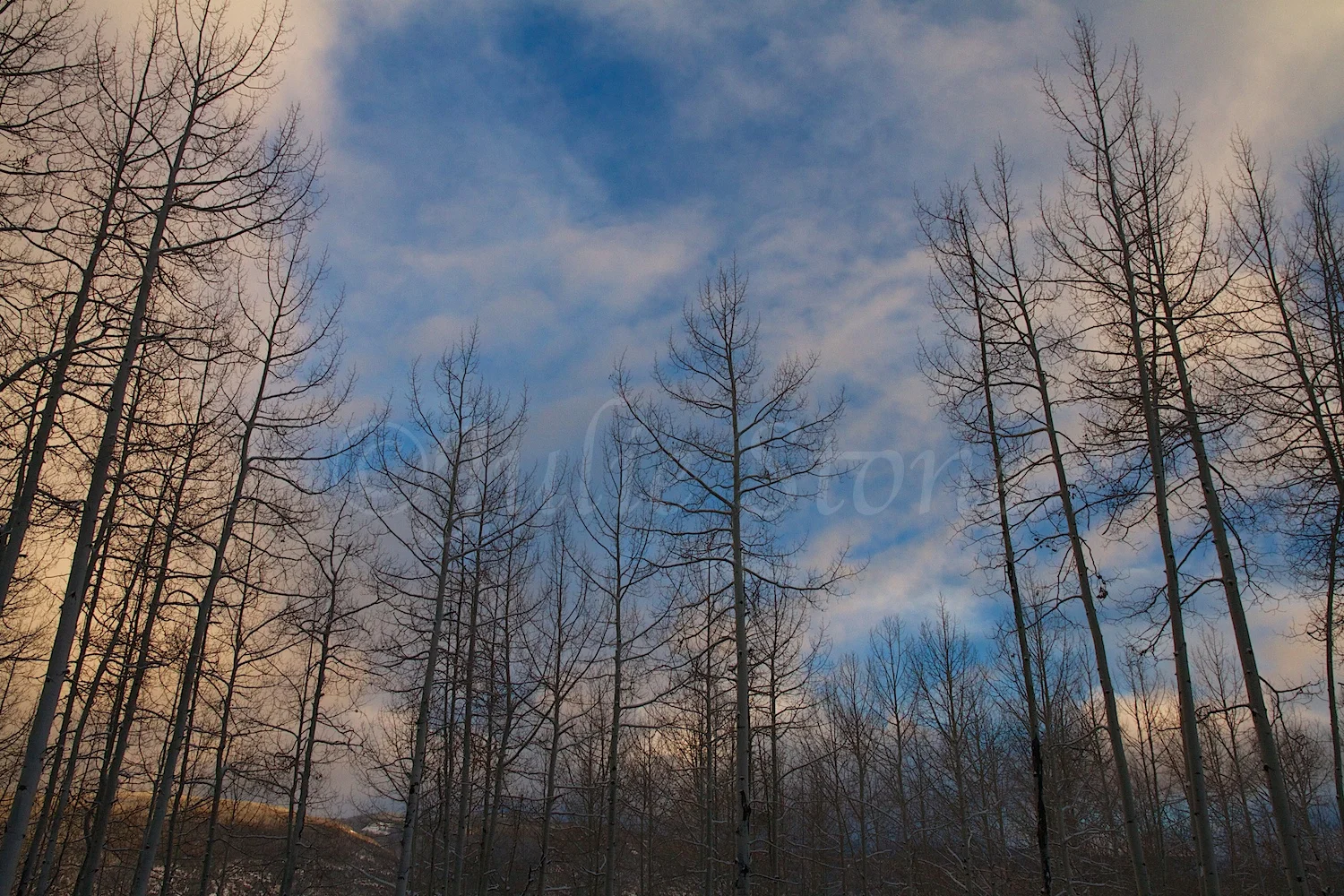 Castle Rock Sunset (Image 2827) December 26, 2014