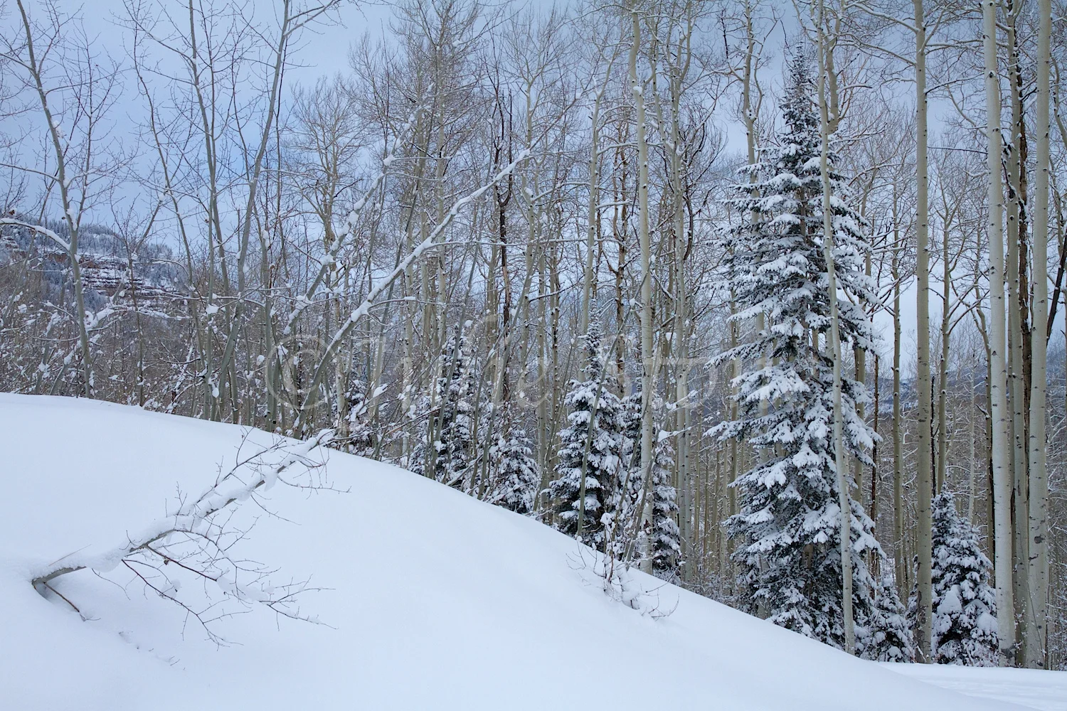 Castle Rock (Image2656) December 26, 2014