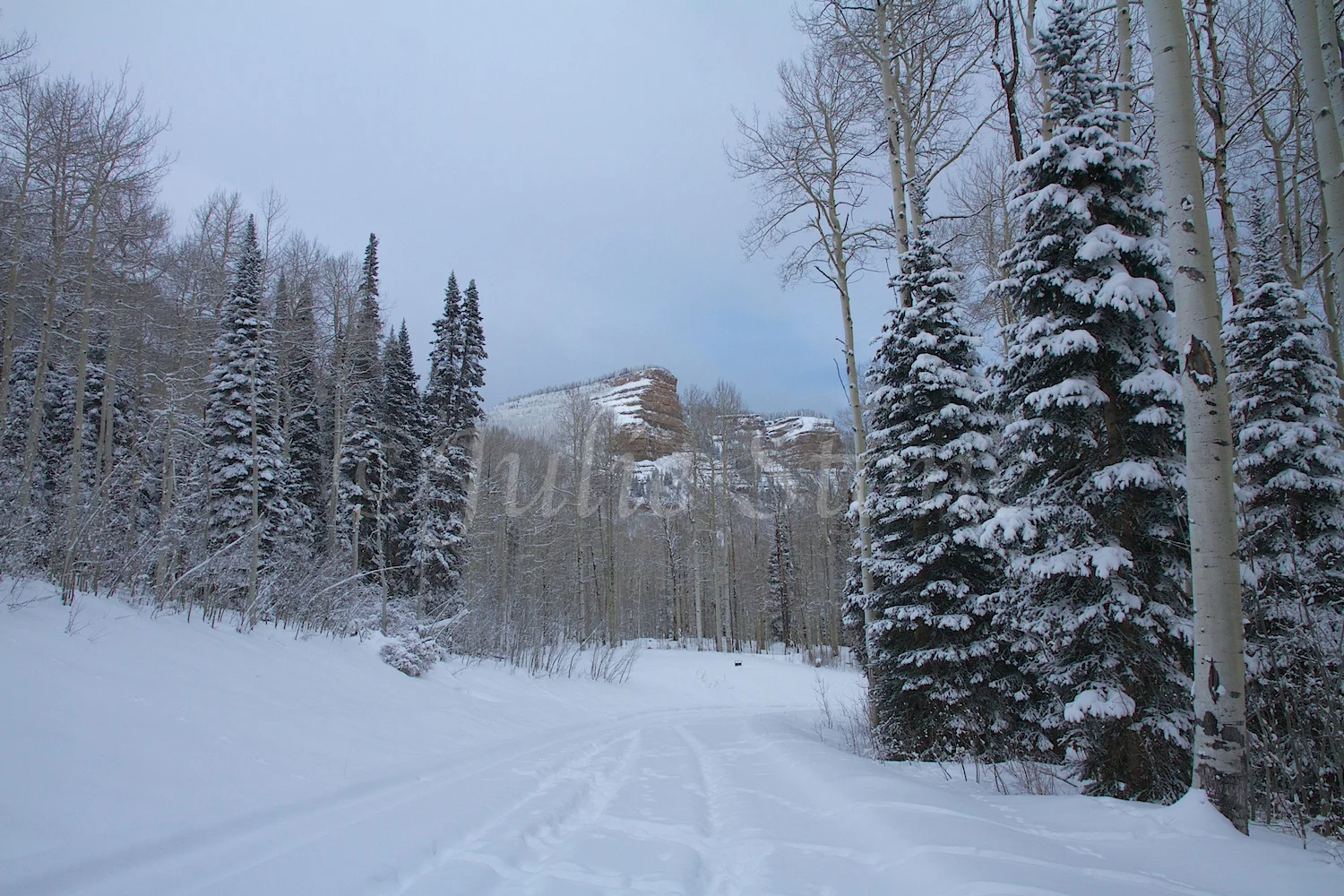 Castle Rock (Image 2643) December 26, 2014