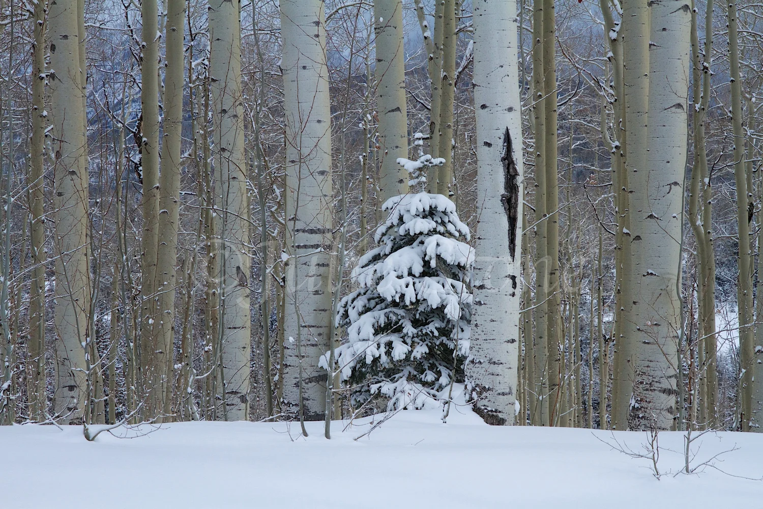 Castle Rock ((image 2609) December 26, 2014
