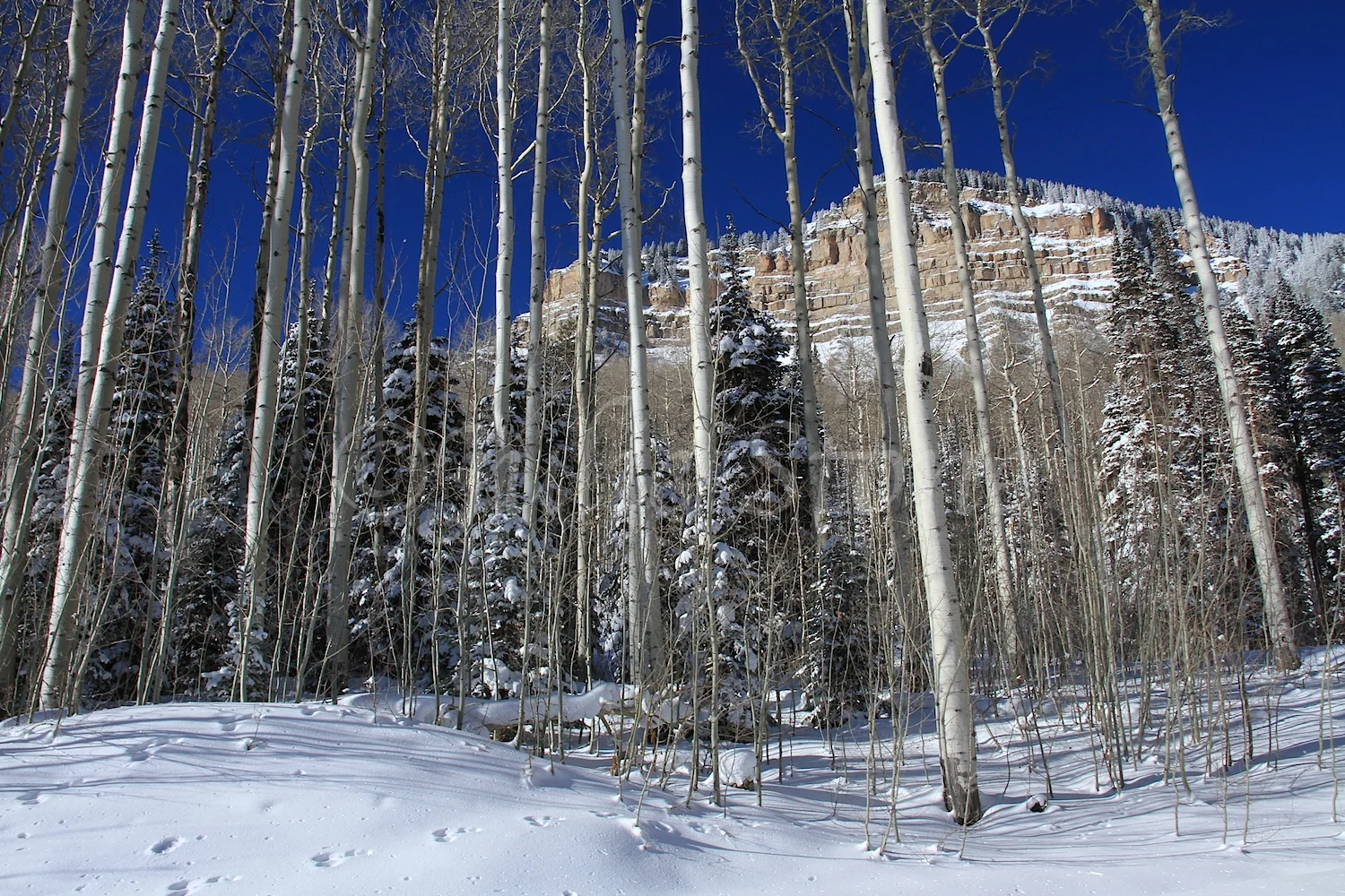 Castle Rock (Image 2886) December 27, 2014