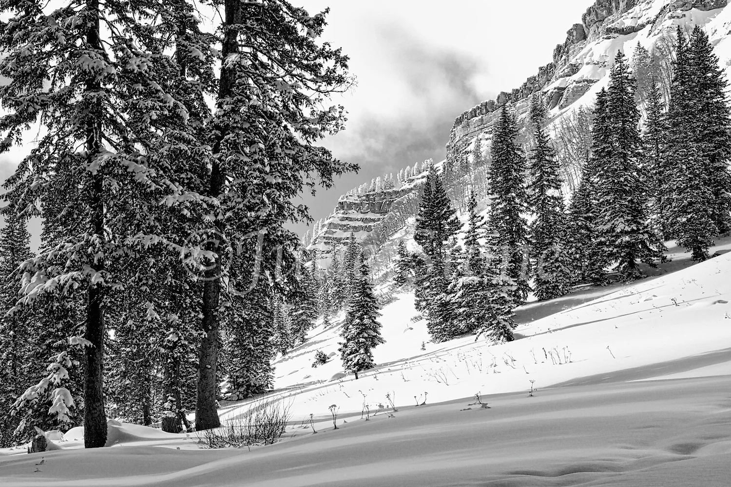 Coal Bank Pass (Image 3136) B&W December 27, 2014