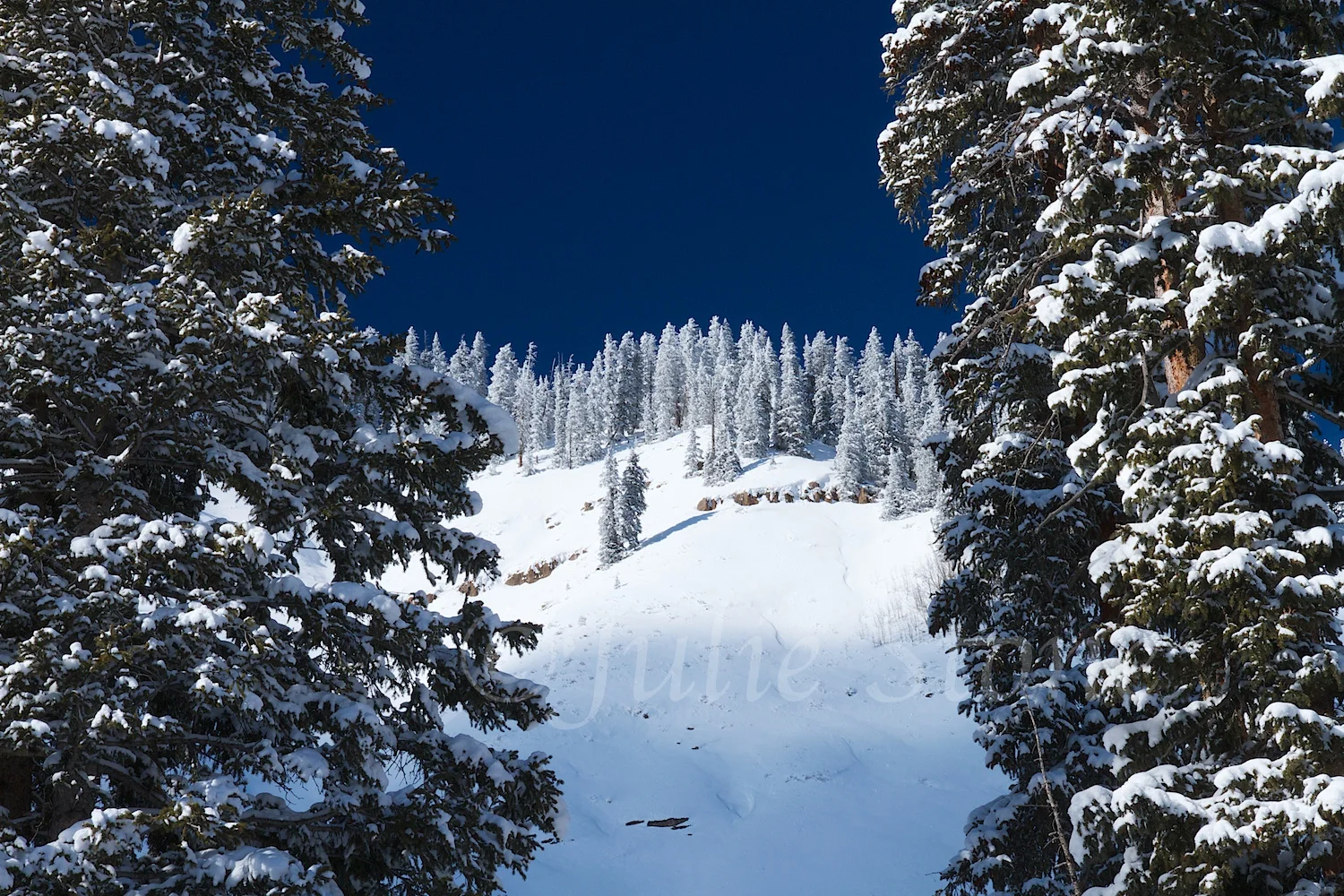 Coal Bank Pass (Image 3115) December 27, 2014