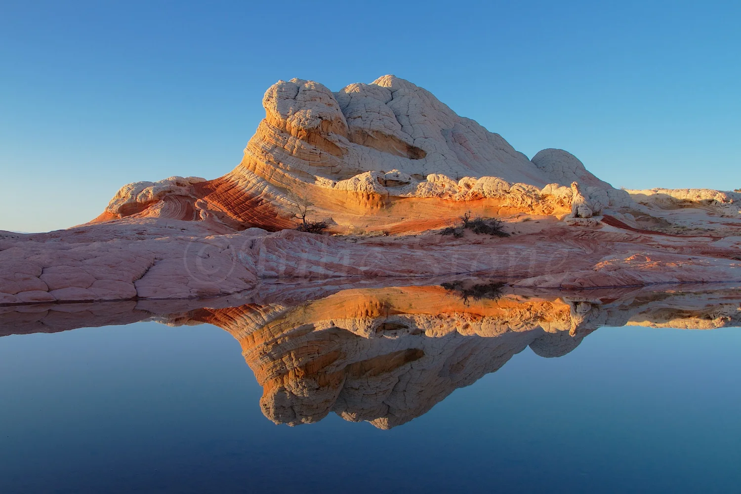 Lollipop at Sunset (Image 4817) 3-7-2015