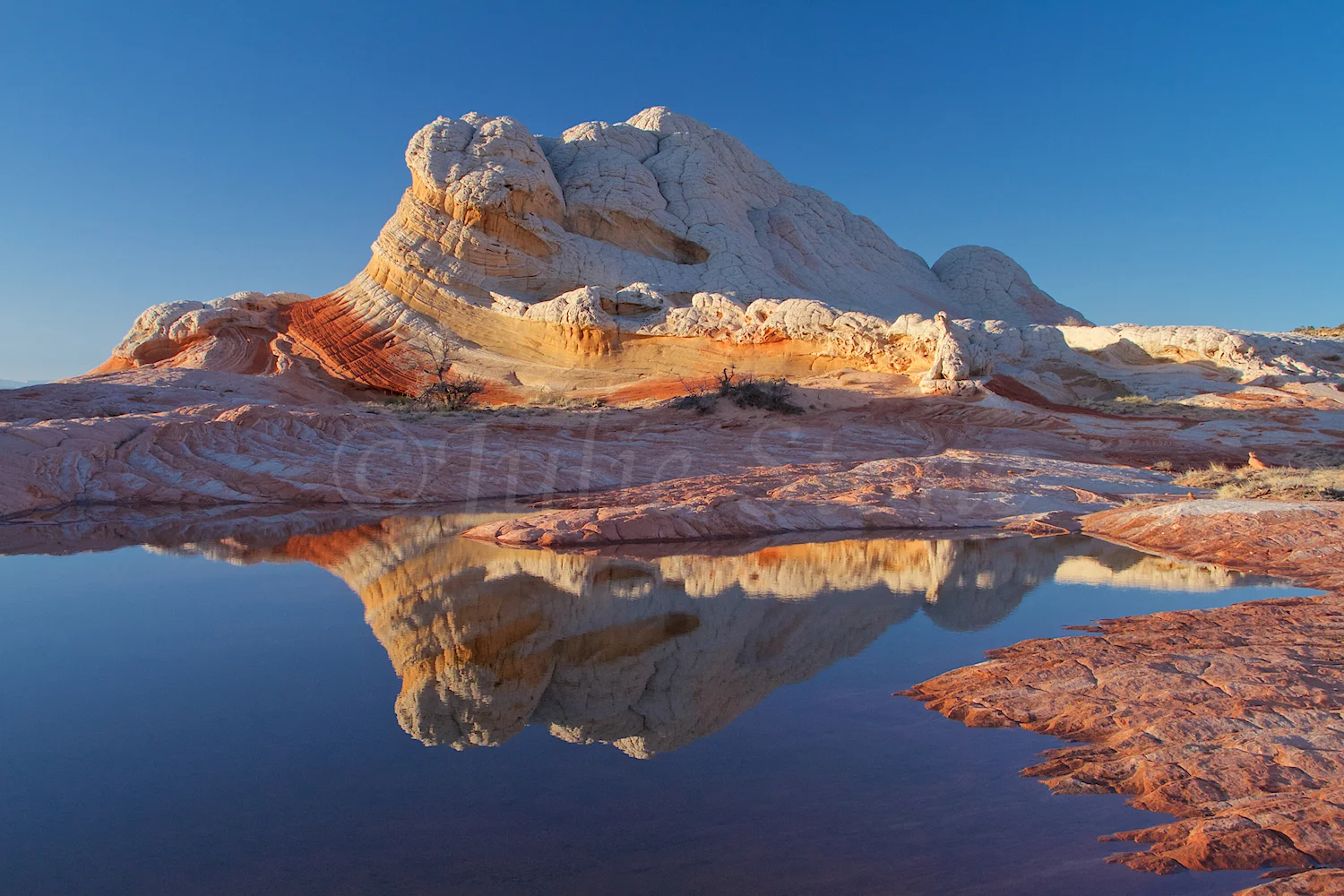 Lollipop at Sunset (Image 4783)