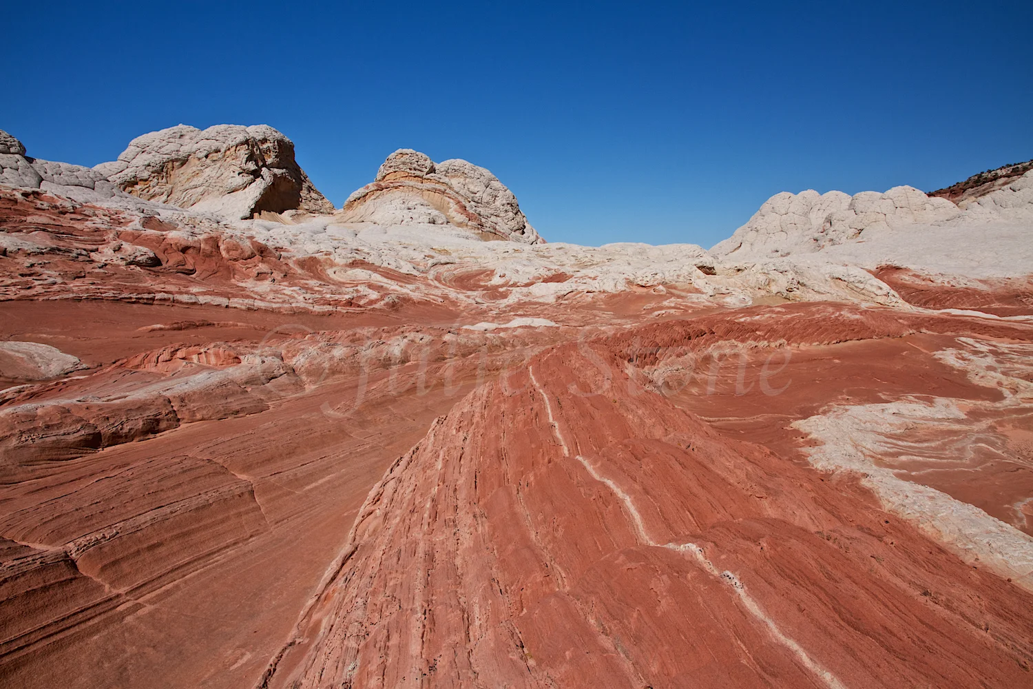 White Pocket Navajo Sandstone (Image# 3890) 3-7-2015