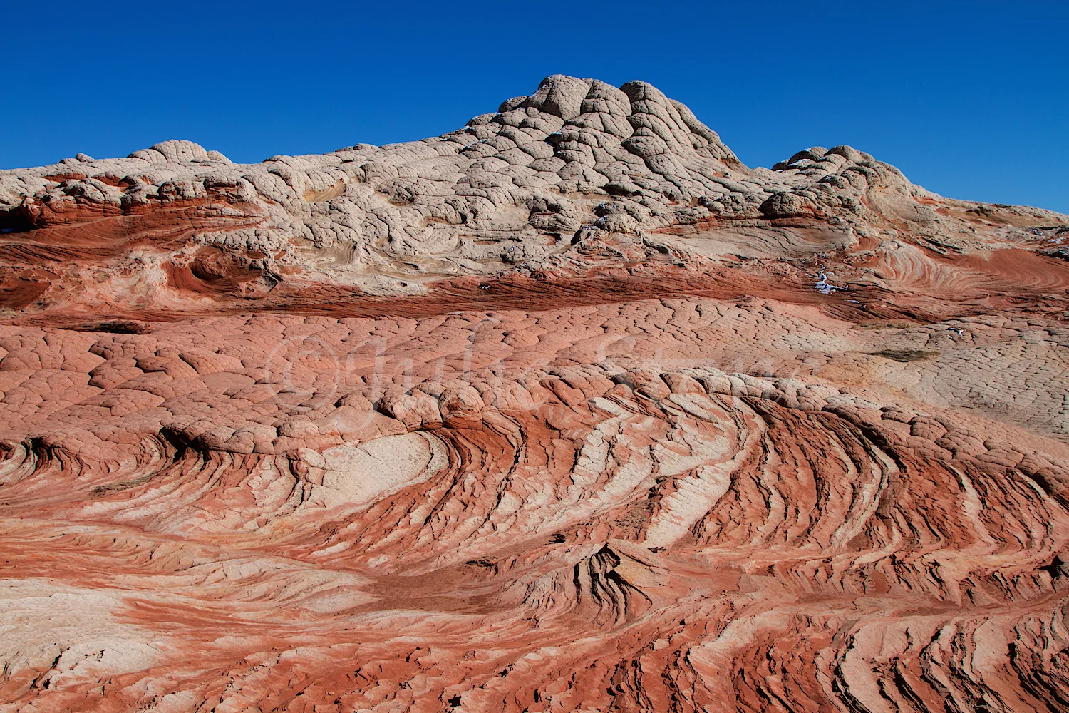 White Pocket (Image # 4121) 3-7-2015