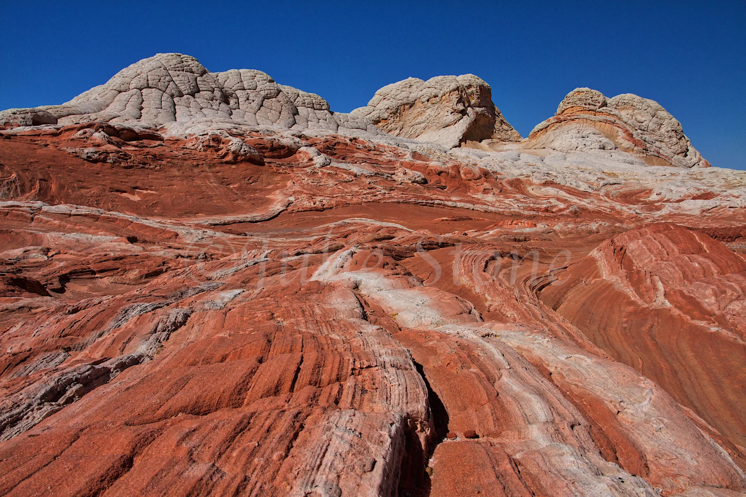 White Pocket Navajo Sandstone (Image # 3874)