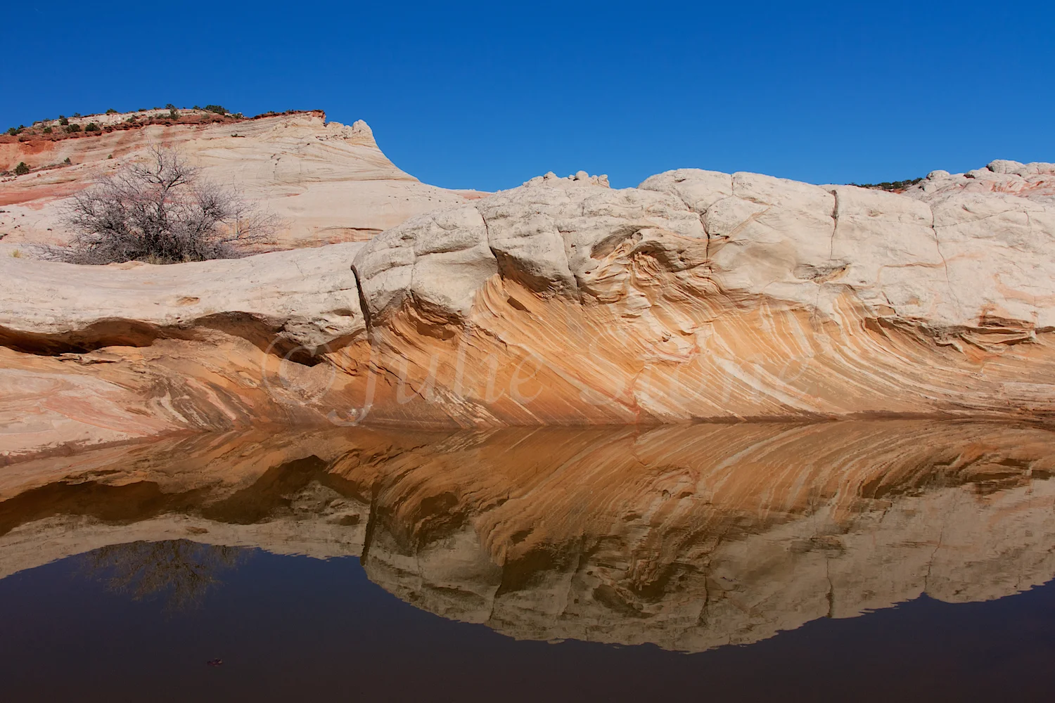 Water Pool Reflection (Image # 4293)