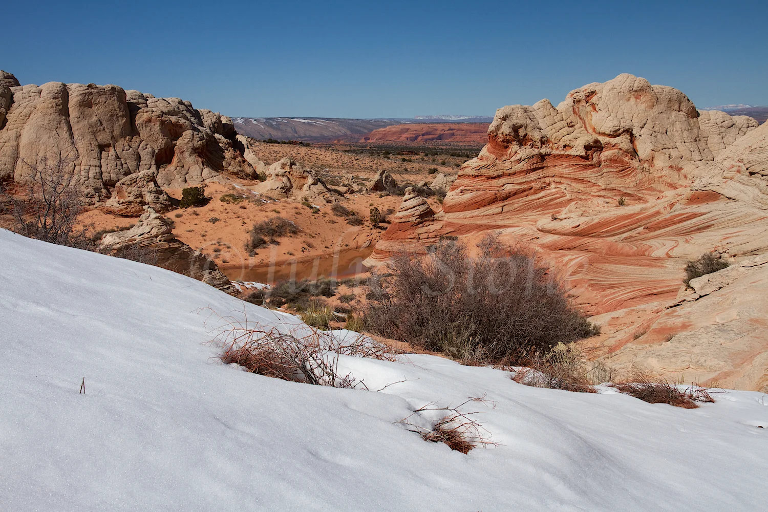 Snowy Slope (Image #3824)