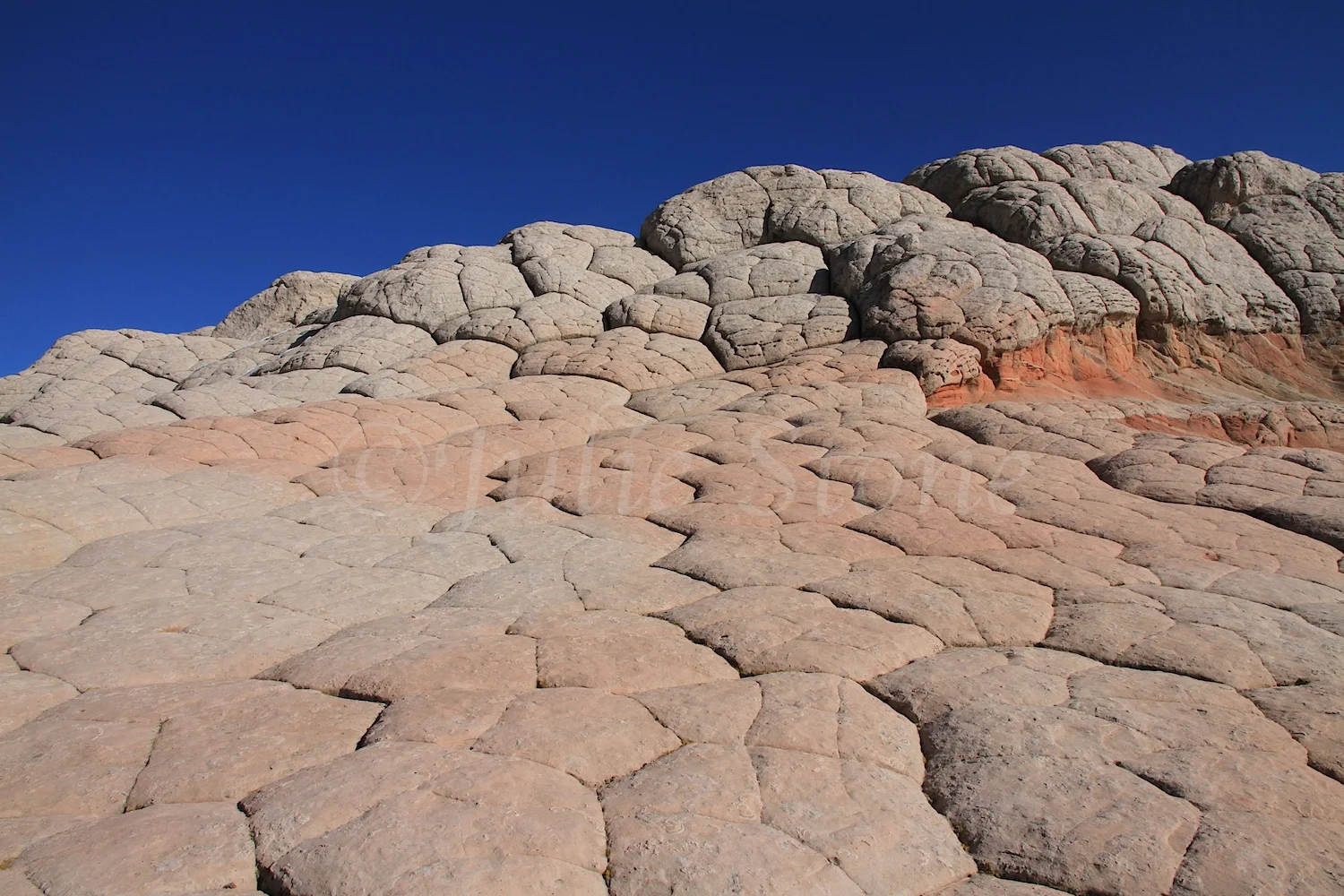Brain Rocks (Image # 4336)