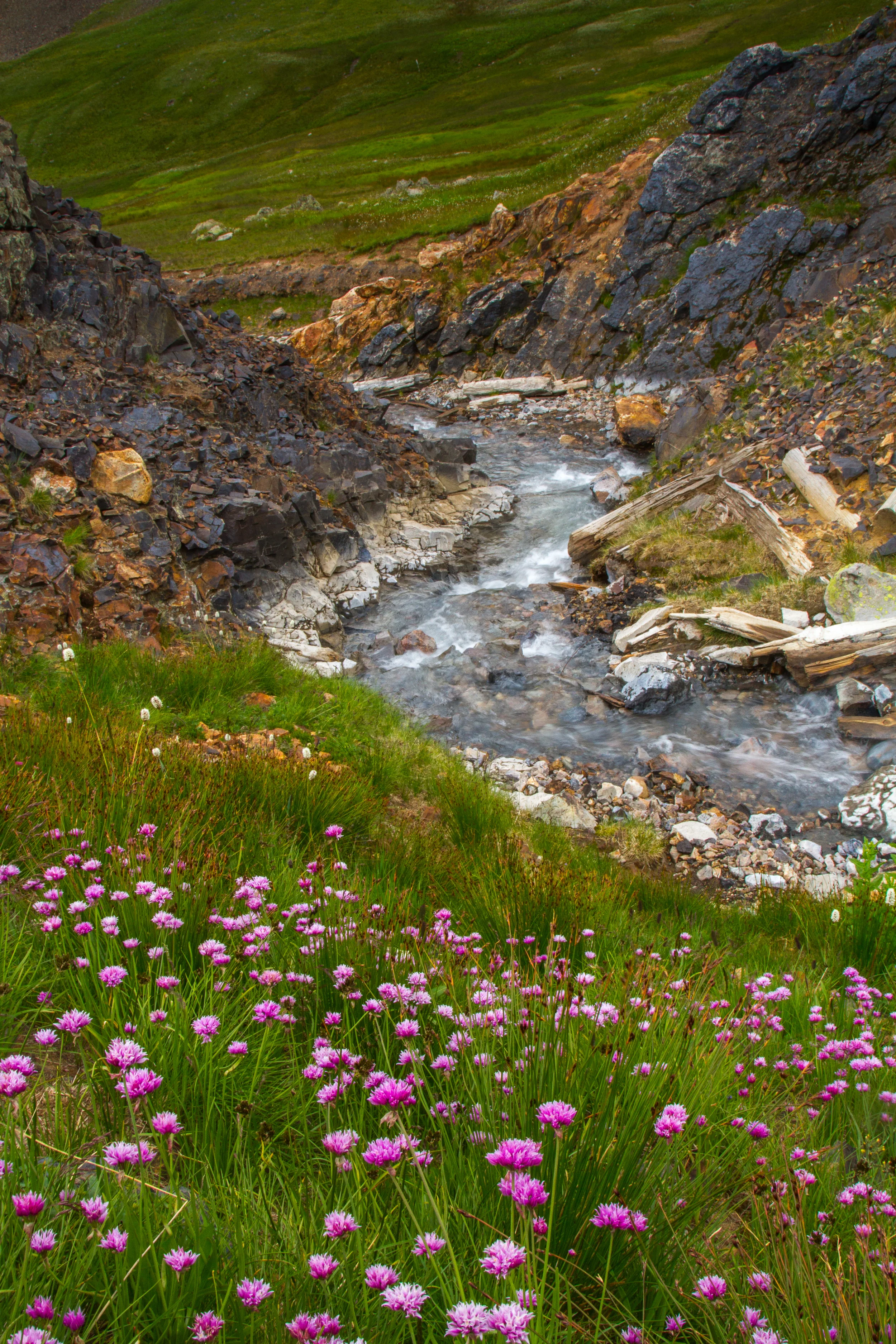 Placer Gulch, Image # 8878