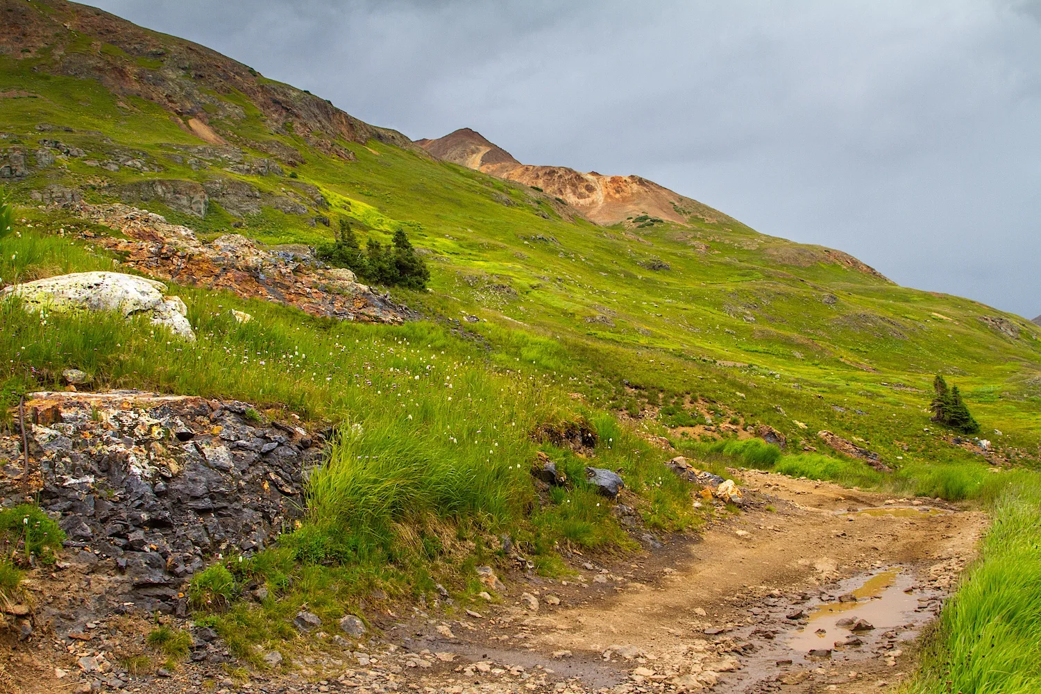 Placer Gulch, Image # 8909