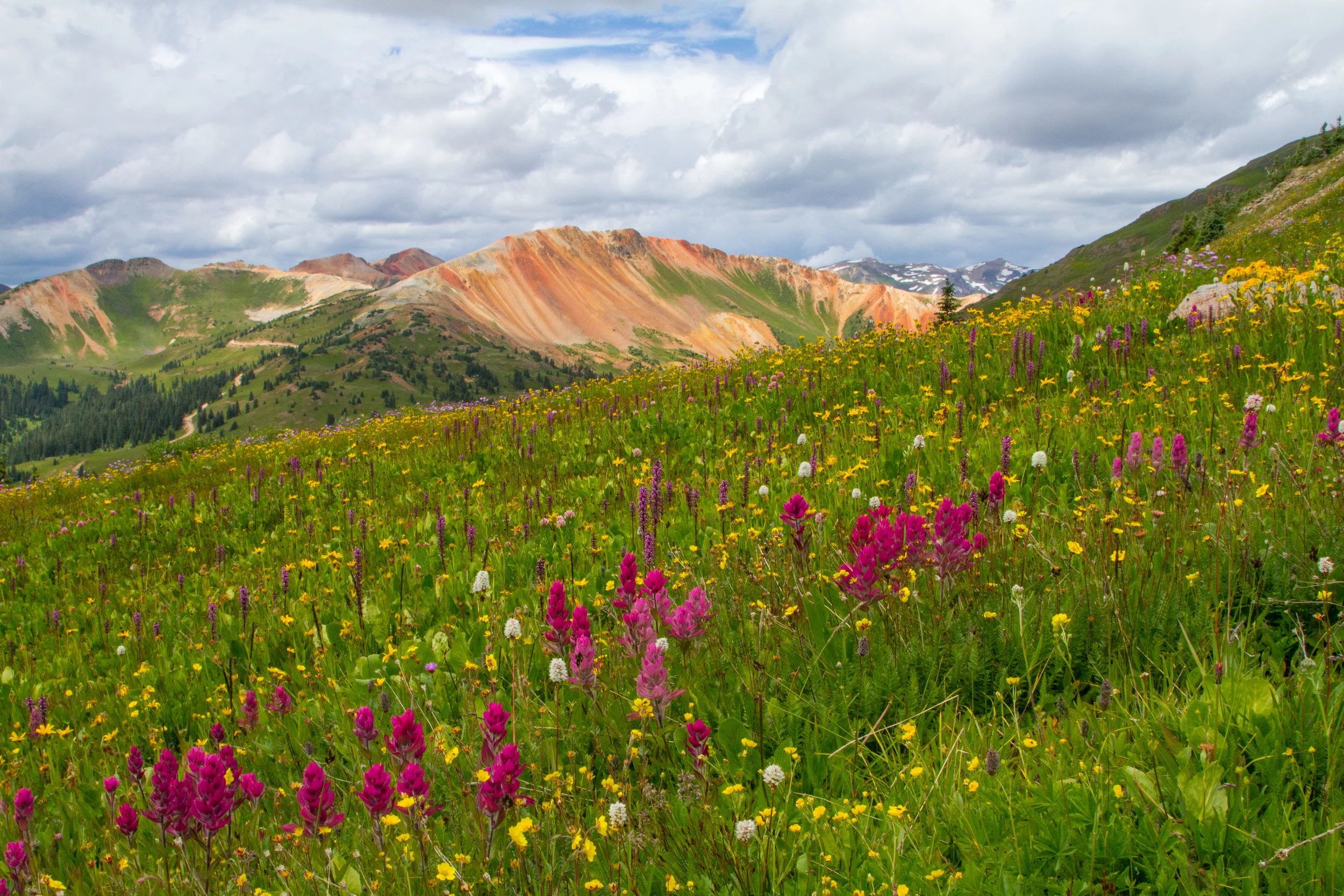 Hurricane Ridge, Image # 8345