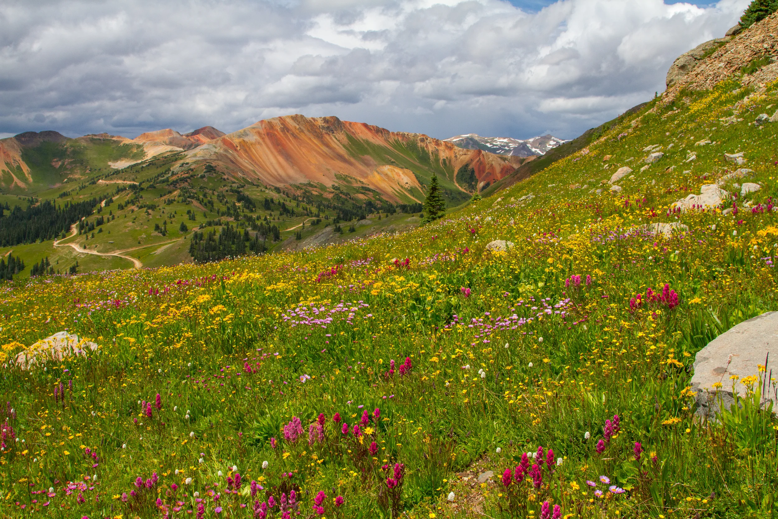 Hurricane Ridge, Image # 8462