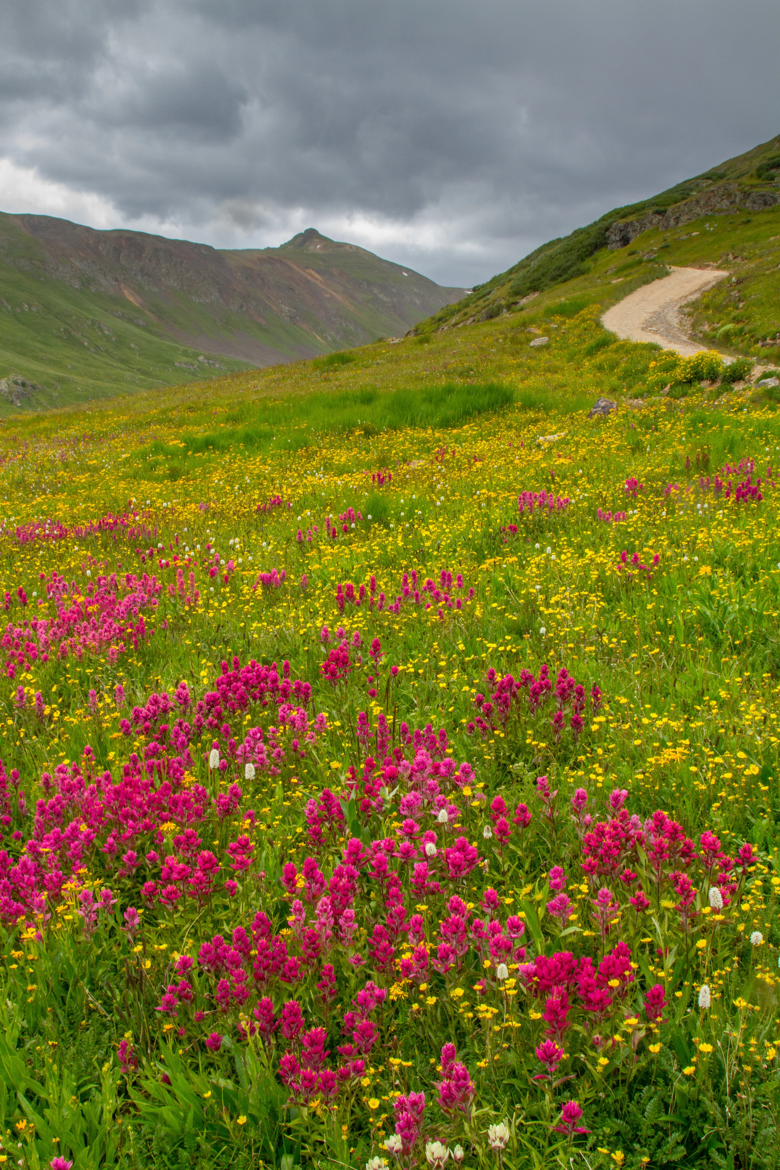 Placer Gulch Road, Image # 8799
