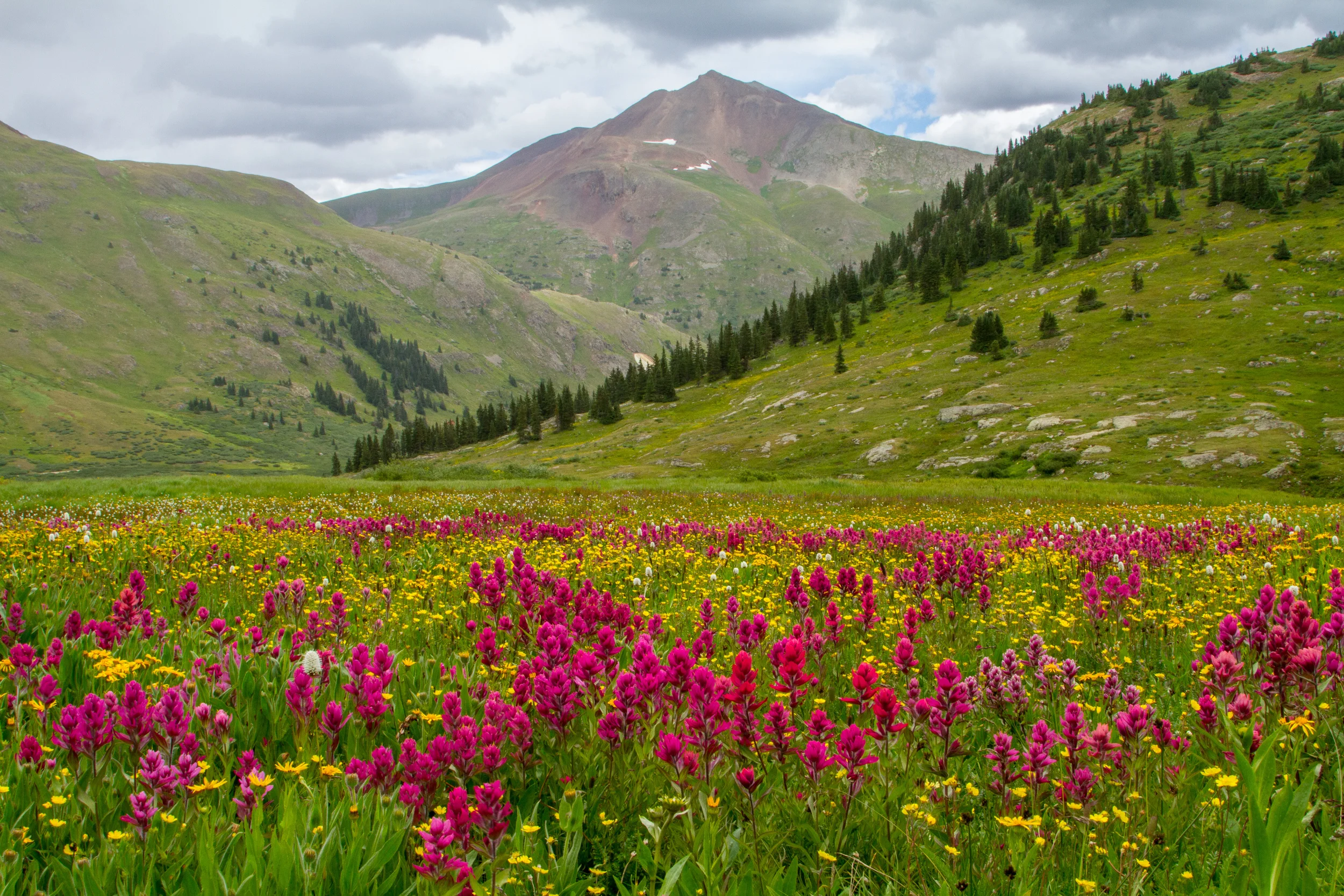 Placer Gulch, Image # 8784