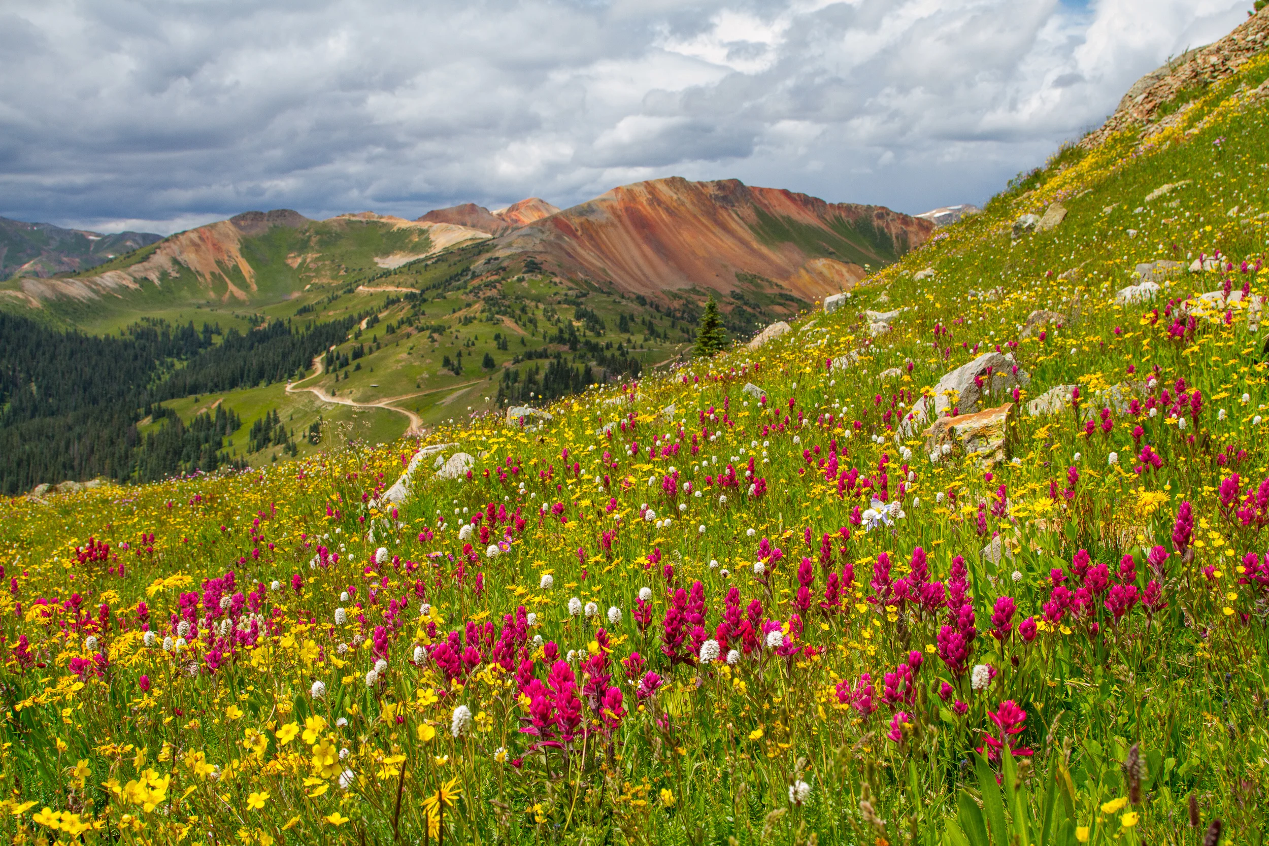 Hurricane Ridge, Image # 8443