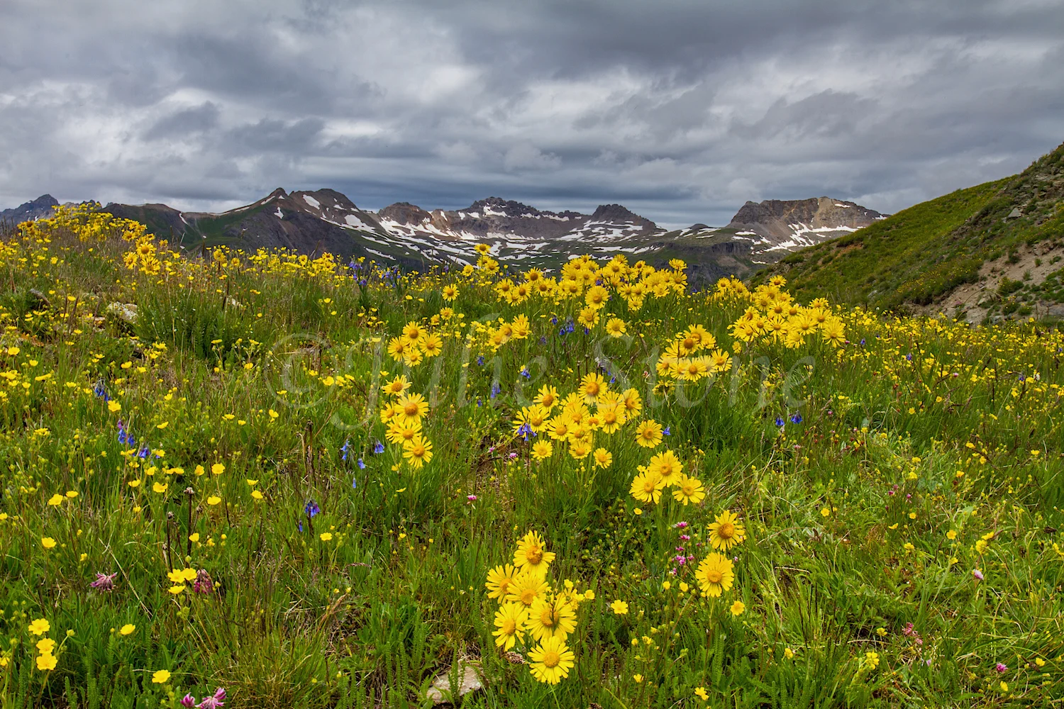 Brooklyn Mine Road, Image #5012