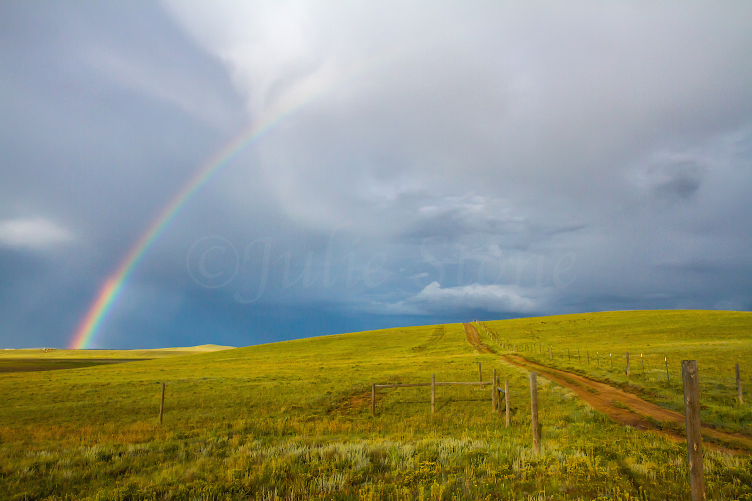 Fairplay Rainbow, Image #3320