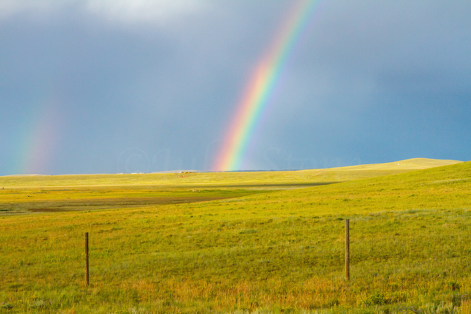 Fairplay Rainbow, Image #3327