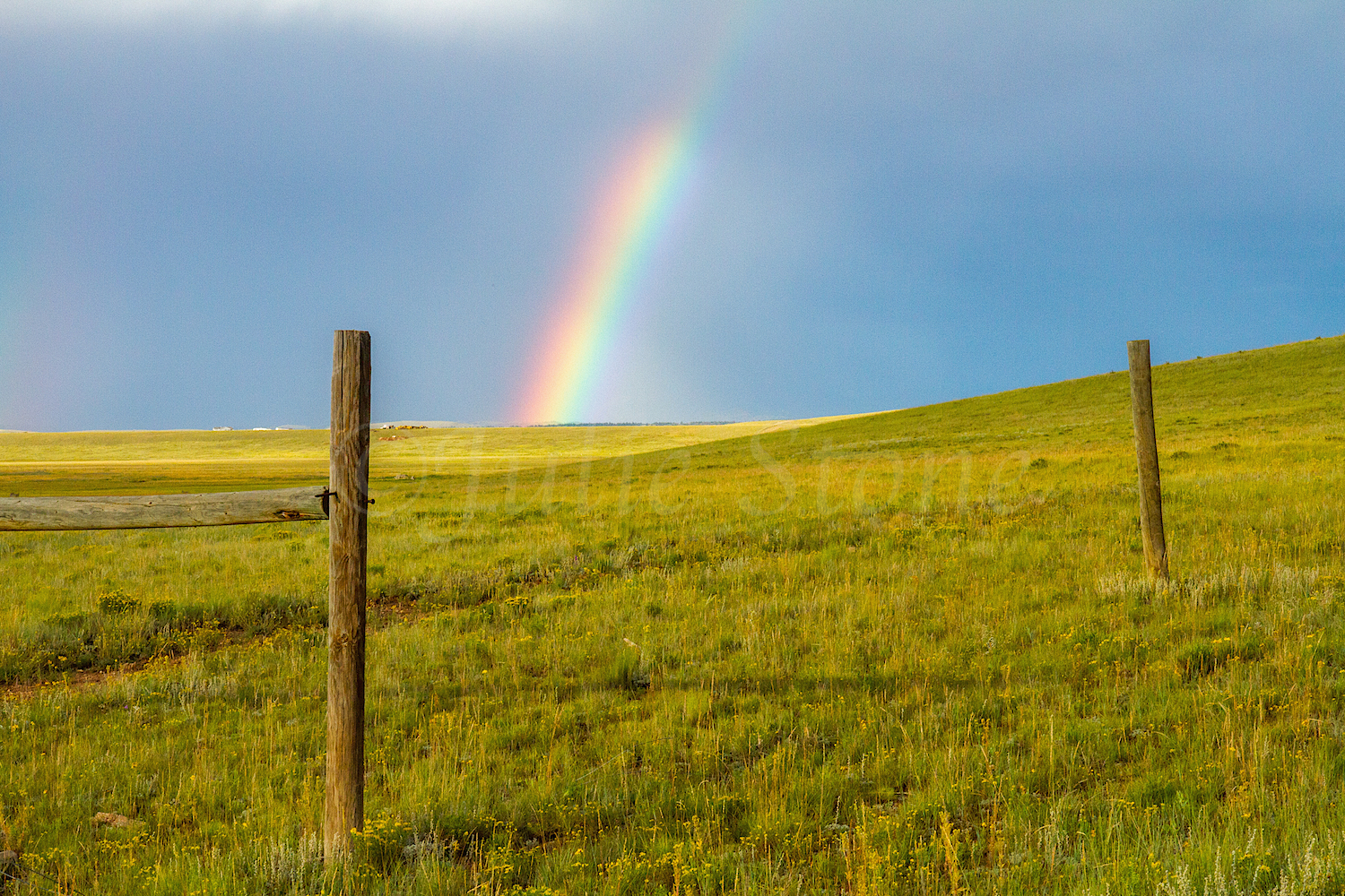 Fairplay Rainbow, Image #3359