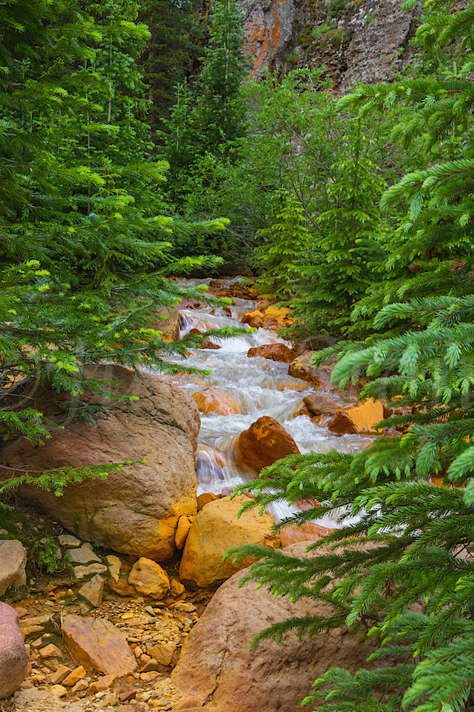 Uncompahgre River Gorge Falls, Image #9930